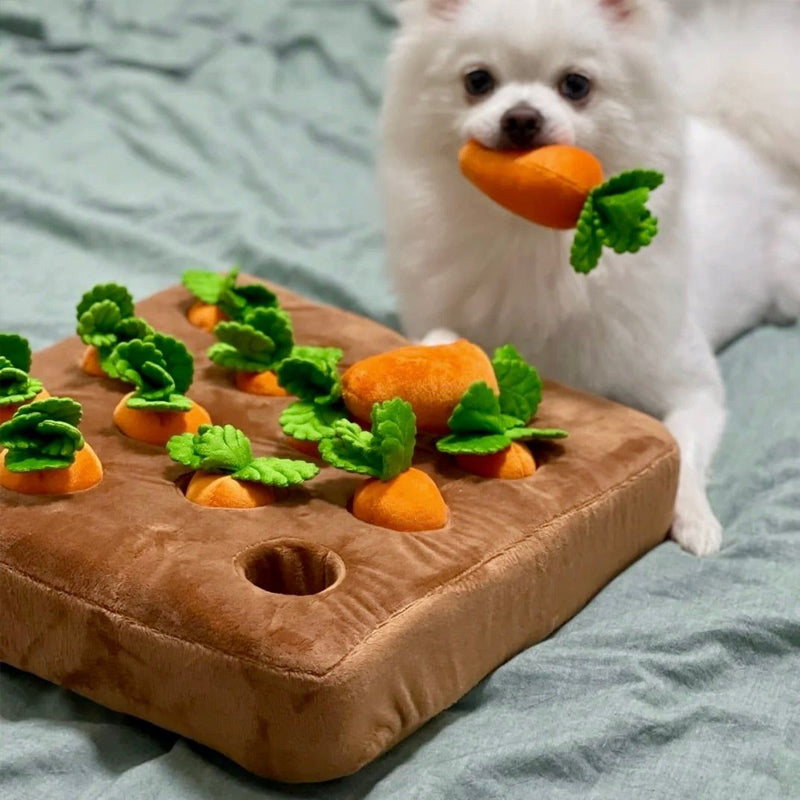 Jouet Puzzle Interactif pour Chien - Stimulation Mentale et Engagement Amusant