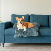 Protecteur de Lit pour Chien - Imperméable et Doux avec Antidérapant