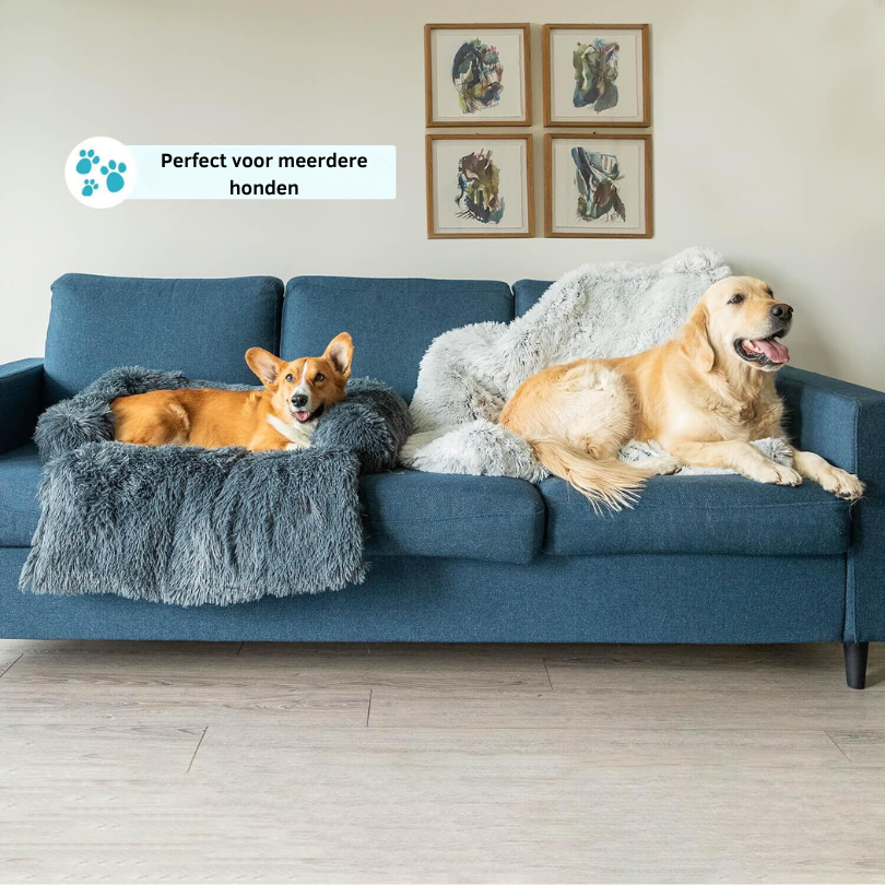 Couverture Apaisante pour Chien - Tissu Doux et Lavable en Machine