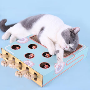 Parc à Chats Interactif 3-en-1 - Jouet Écologique et Gain de Place