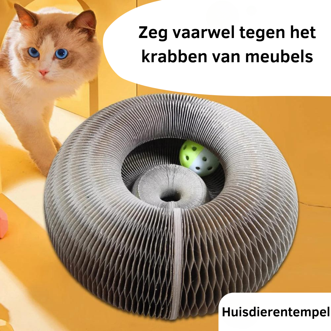 Jouet Interactif pour Chat - Soulagement du Stress et Durabilité