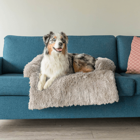 Protecteur de Lit pour Chien - Imperméable et Doux avec Antidérapant