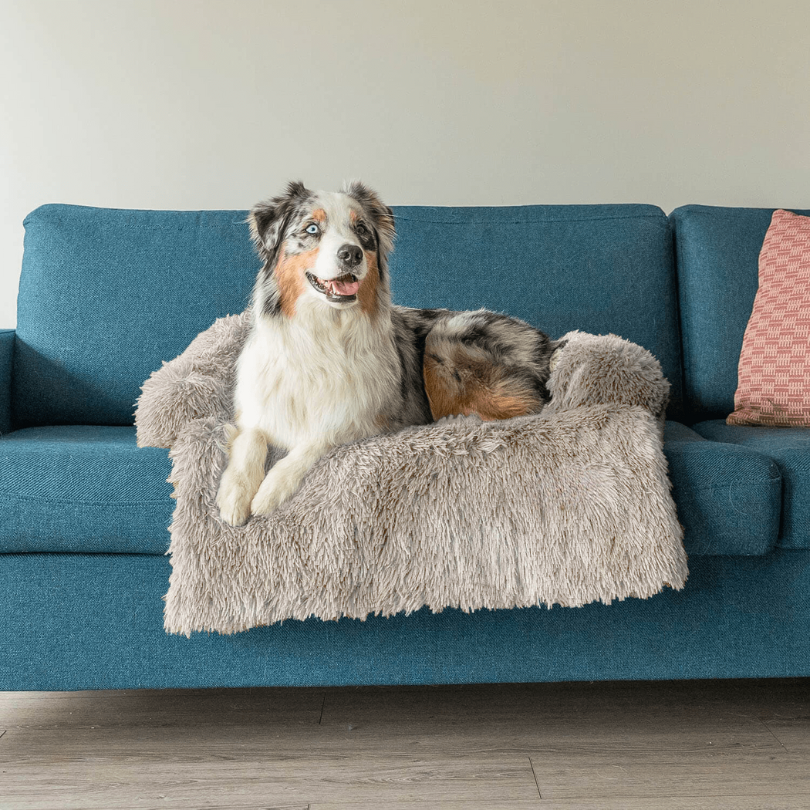 Protecteur de Lit pour Chien - Imperméable et Doux avec Antidérapant