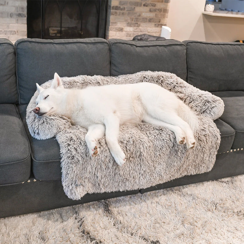 Protecteur de Lit pour Chien - Imperméable et Doux avec Antidérapant
