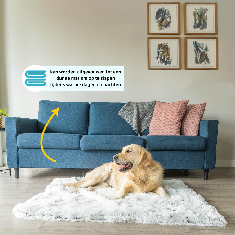 Couverture Apaisante pour Chien - Tissu Doux et Lavable en Machine