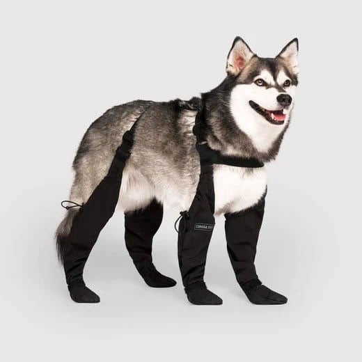 Bottes Impermeables pour Chiens - Protection Confortable par Tous les Temps