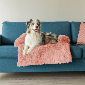Protecteur de Lit pour Chien - Imperméable et Doux avec Antidérapant