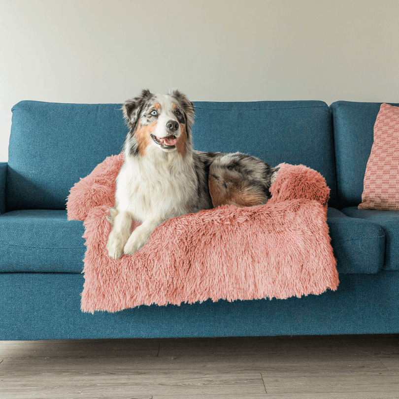 Protecteur de Lit pour Chien - Imperméable et Doux avec Antidérapant