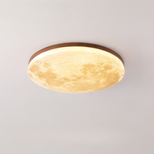 Lampe de Plafond Élégante en Bois - Design Minimaliste et Éclairage Accueillant