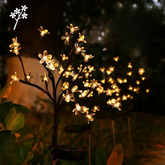 Lampes Solaires de Jardin - Éclairage Écologique avec 15 LED Blanches