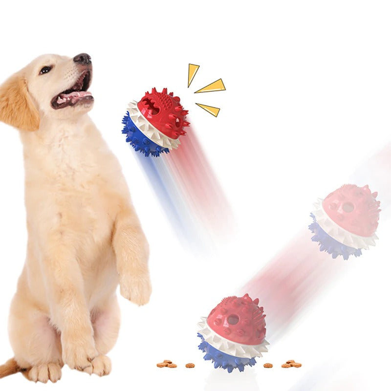 Jouet Interactif pour Chien - Durable avec Barres à Mâcher et Balles Roulantes