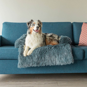 Protecteur de Lit pour Chien - Imperméable et Doux avec Antidérapant