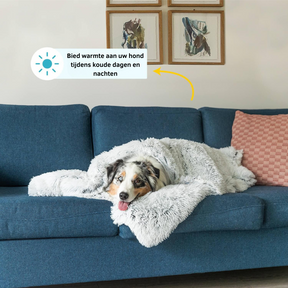 Couverture Apaisante pour Chien - Tissu Doux et Lavable en Machine