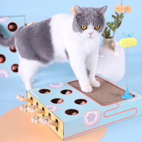 Parc à Chats Interactif 3-en-1 - Jouet Écologique et Gain de Place