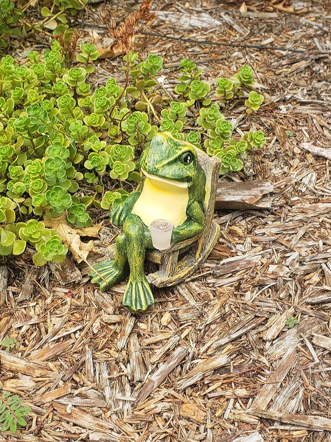 Lampe Solaire de Jardin - Éclairage Magique et Écologique