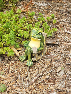Lampe Solaire de Jardin - Éclairage Magique et Écologique
