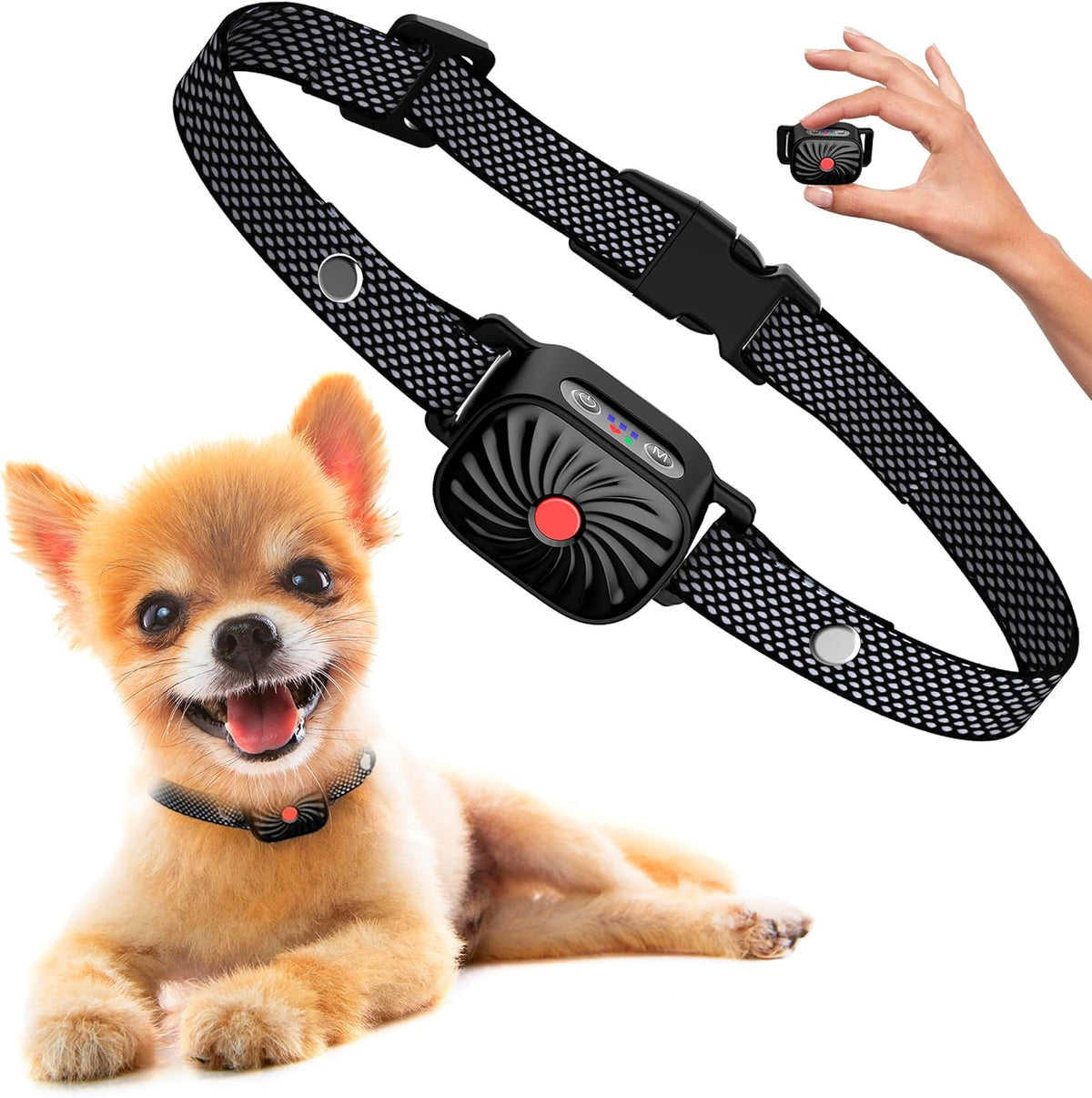 Collier Anti-Aboiement Ajustable pour Chiens - Solution Humaine et Confortable
