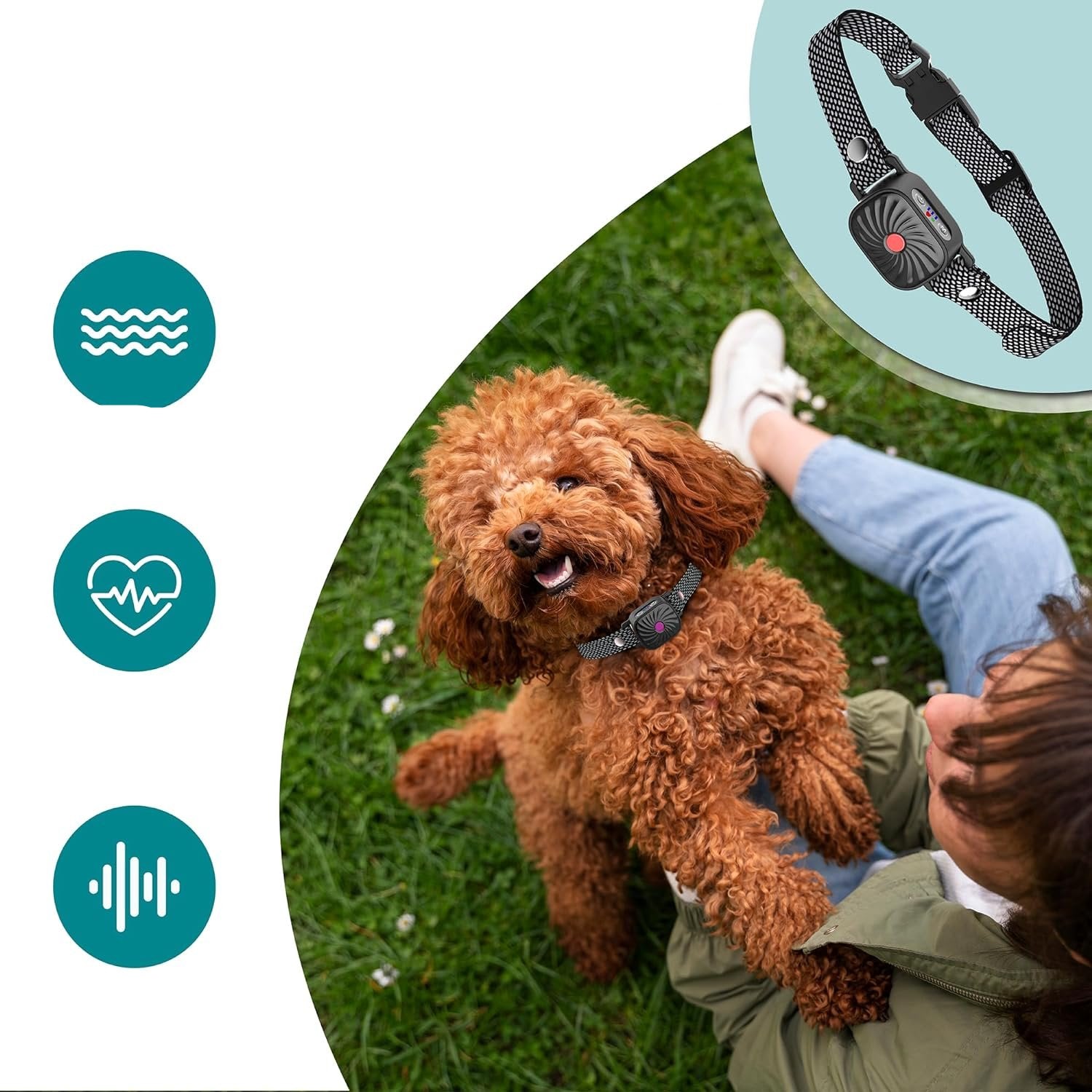 Collier Anti-Aboiement Ajustable pour Chiens - Solution Humaine et Confortable