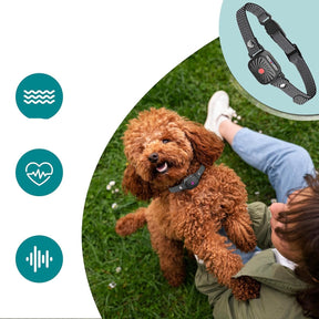Collier Anti-Aboiement Ajustable pour Chiens - Solution Humaine et Confortable