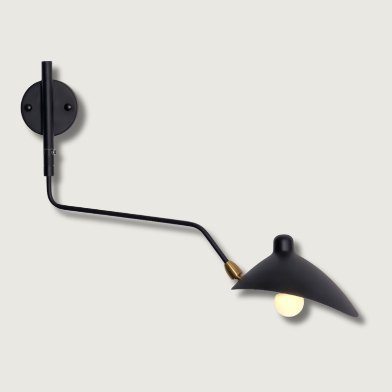 Applique Murale à Double Bras - Éclairage Flexible et Économe en Énergie
