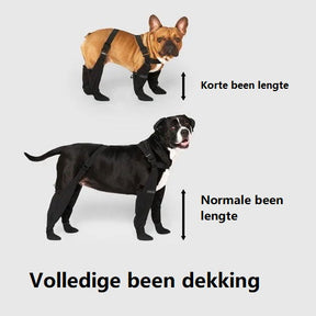 Bottes Impermeables pour Chiens - Protection Confortable par Tous les Temps