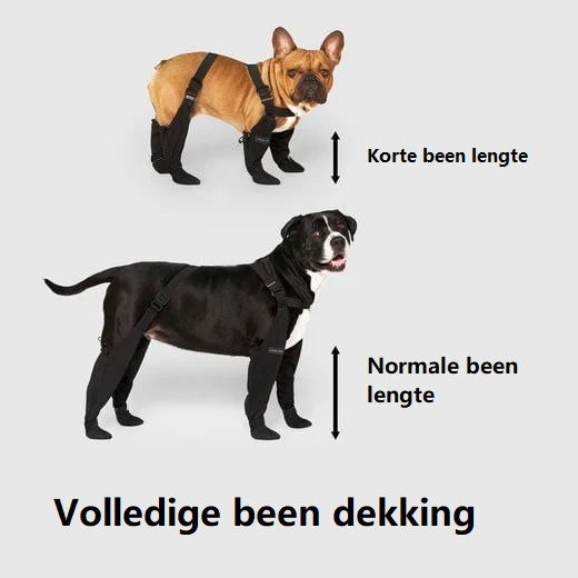 Bottes Impermeables pour Chiens - Protection Confortable par Tous les Temps