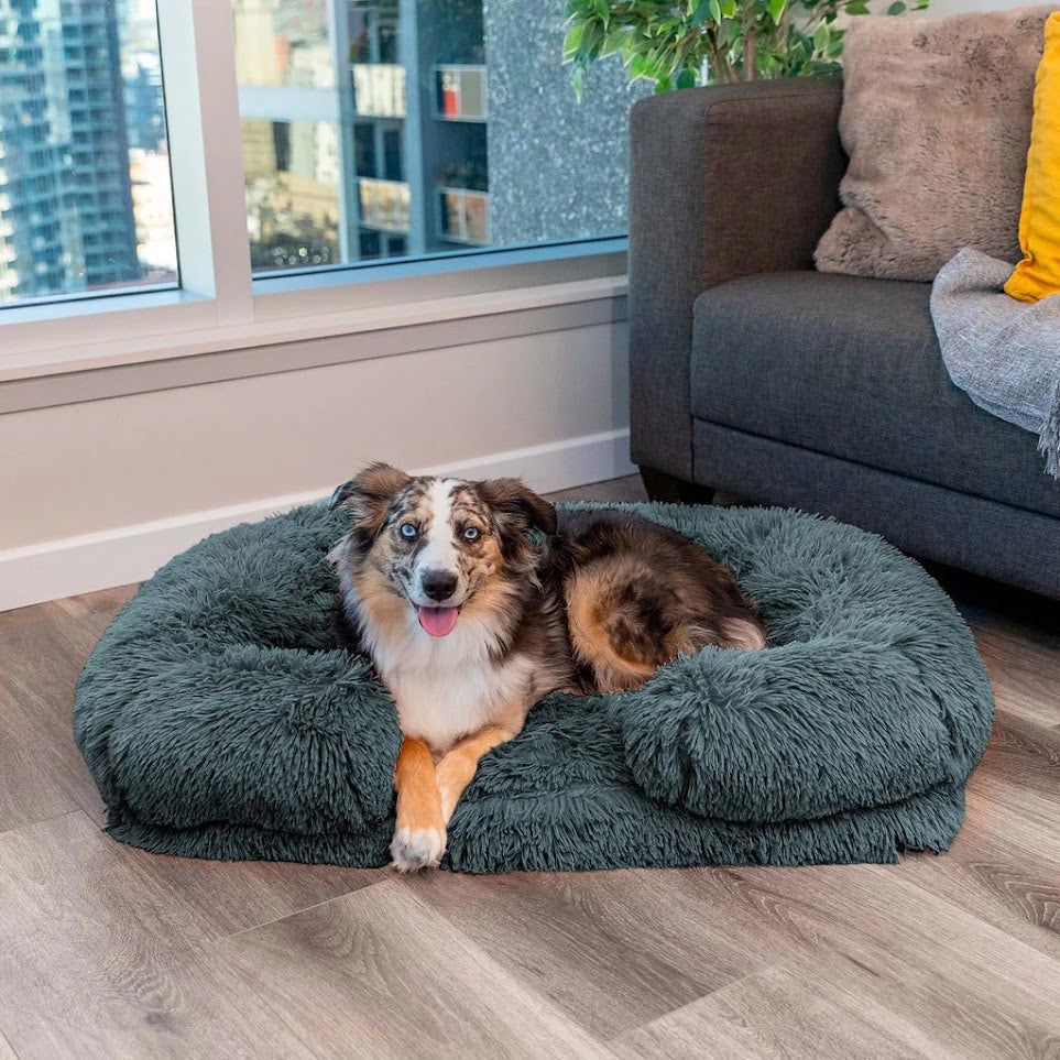 Lit pour Chien en Mousse à Mémoire - Confort Optimal et Doublure Imperméable