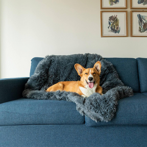 Couverture Apaisante pour Chien - Tissu Doux et Lavable en Machine