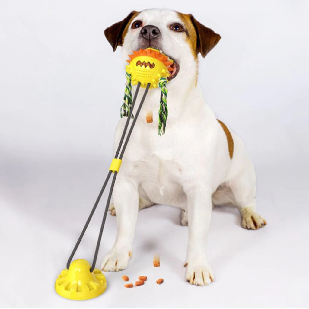Jouet Interactif pour Chien - Durable avec Barres à Mâcher et Balles Roulantes