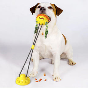 Jouet Interactif pour Chien - Durable avec Barres à Mâcher et Balles Roulantes