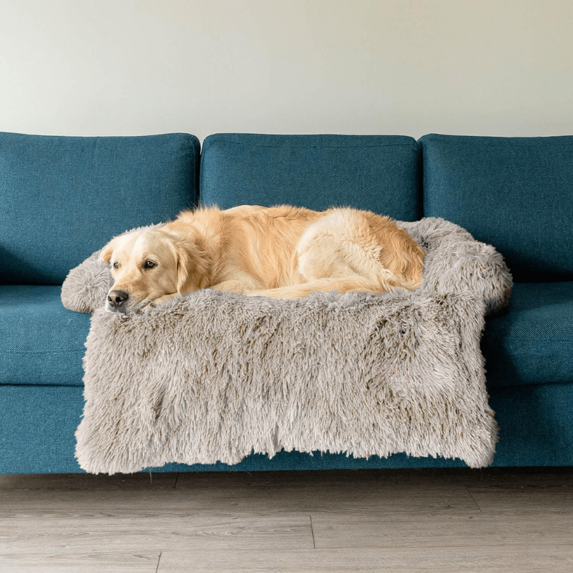 Protecteur de Lit pour Chien - Imperméable et Doux avec Antidérapant