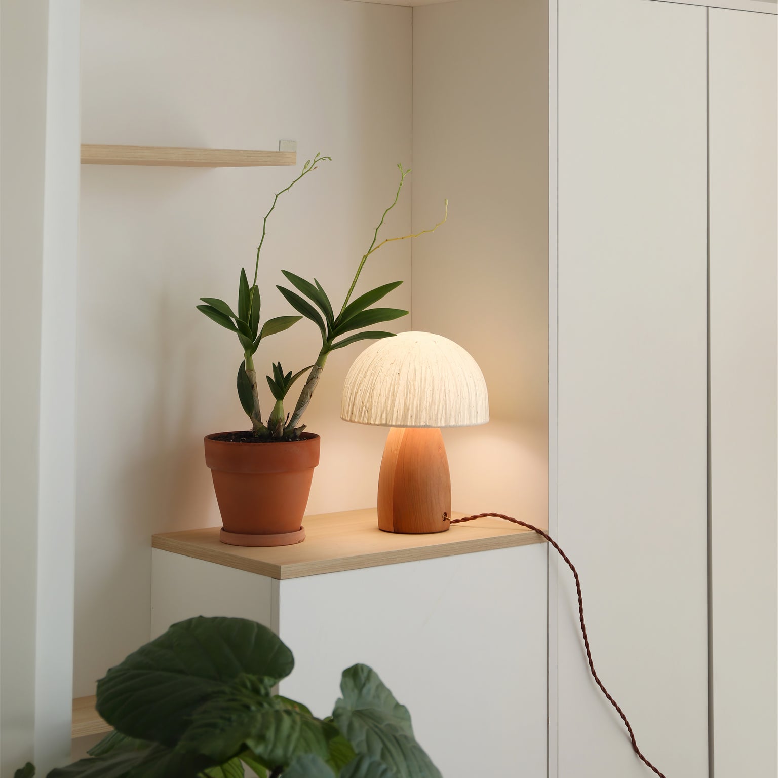 Lampe de Table Champignon - Éclairage Chaud et Ambiance Ludique
