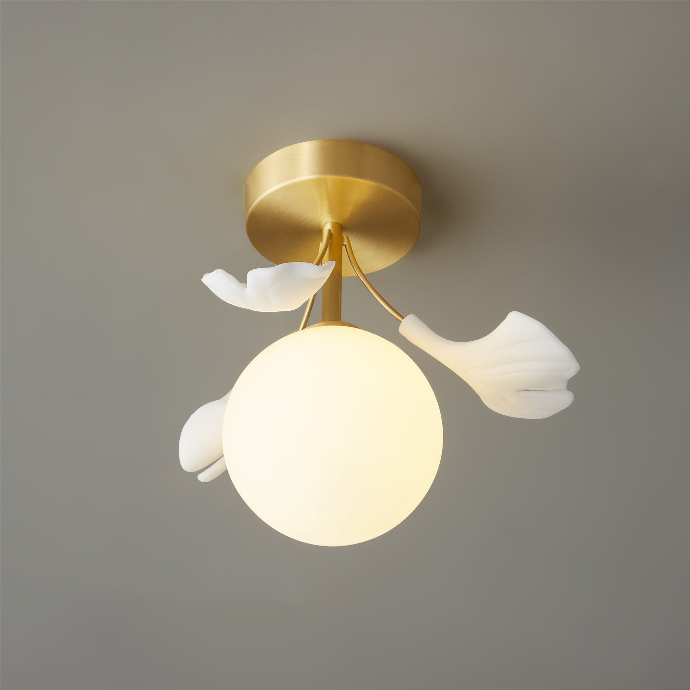 Lumière de Plafond Moderne - Design Élégant Inspiré par la Nature