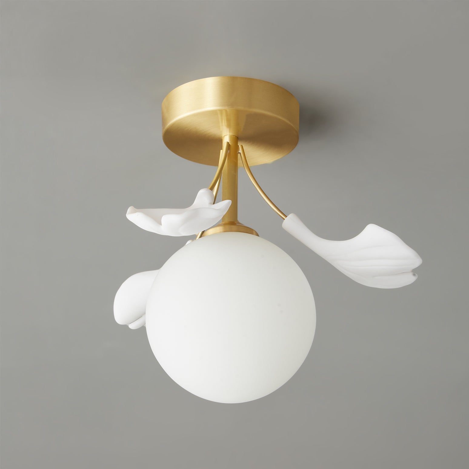 Lumière de Plafond Moderne - Design Élégant Inspiré par la Nature