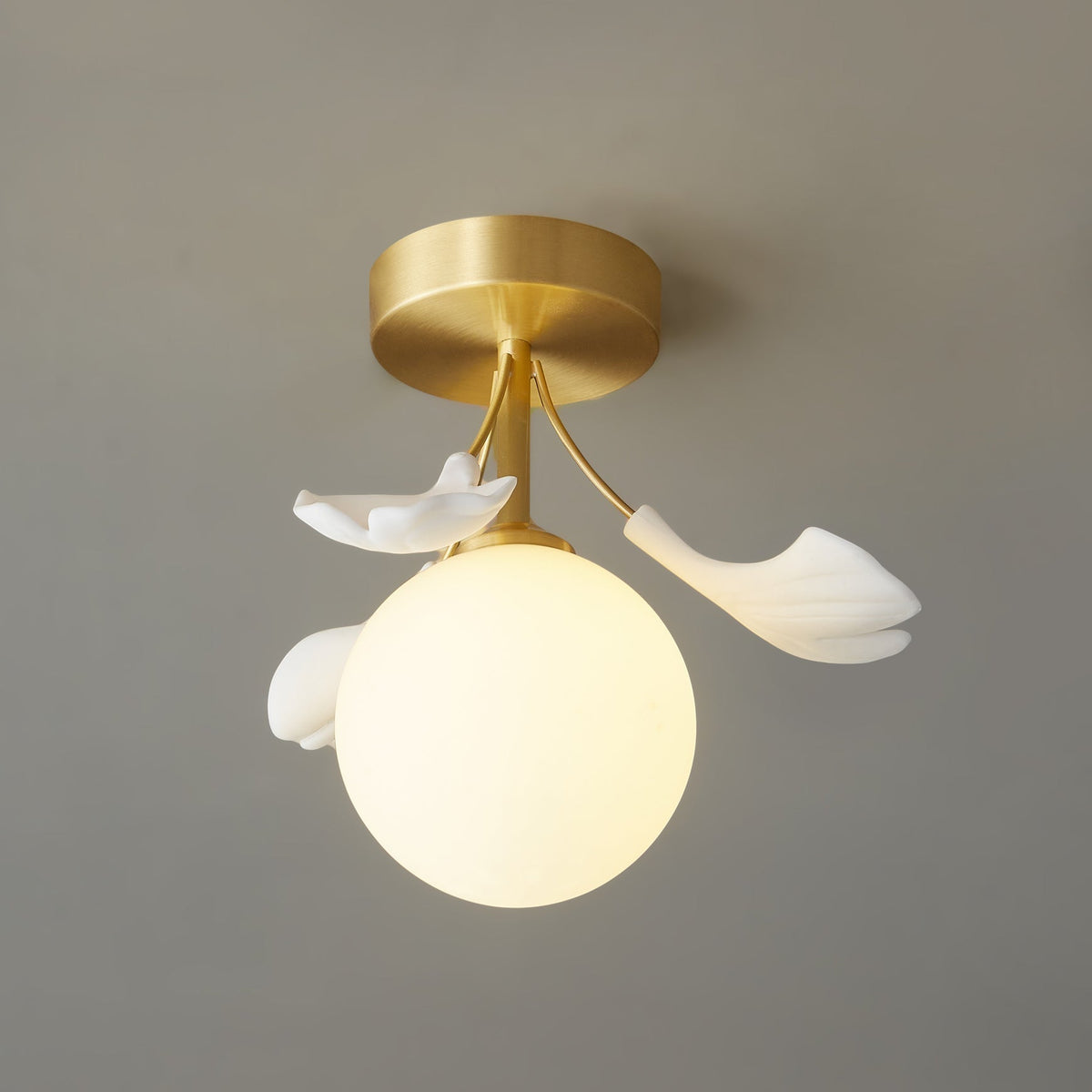 Lumière de Plafond Moderne - Design Élégant Inspiré par la Nature