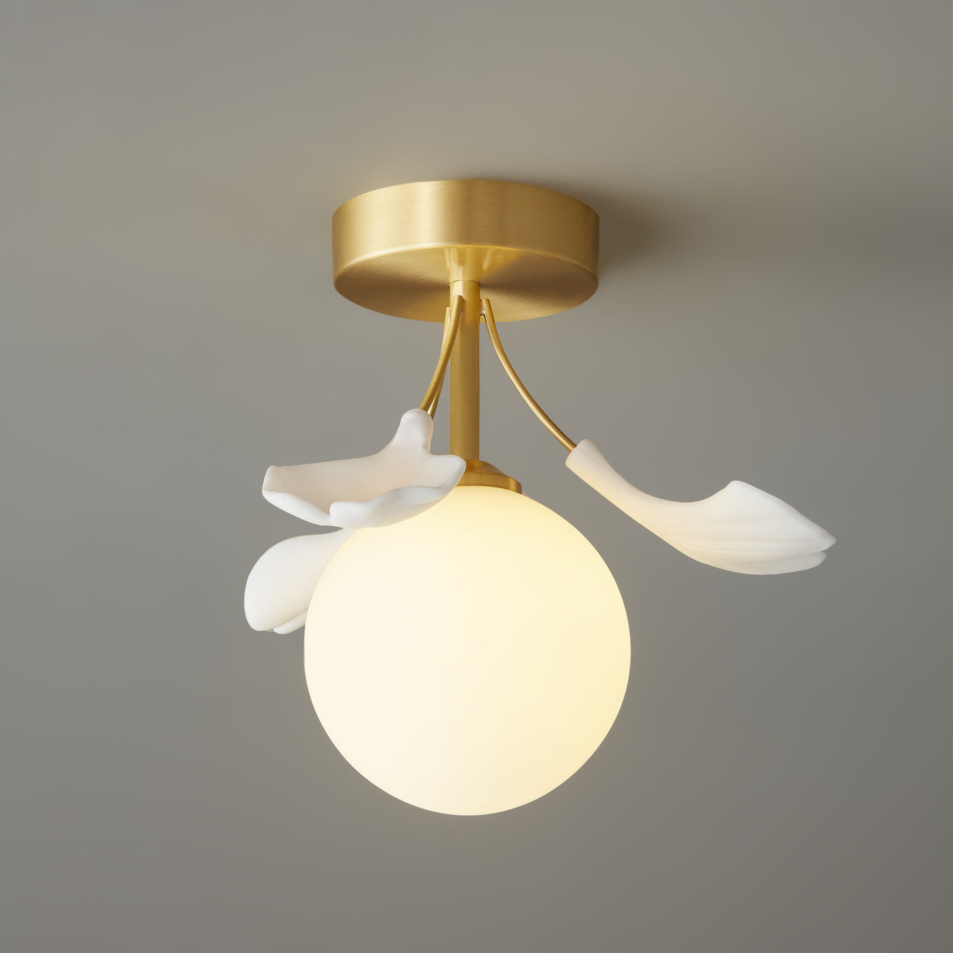 Lumière de Plafond Moderne - Design Élégant Inspiré par la Nature