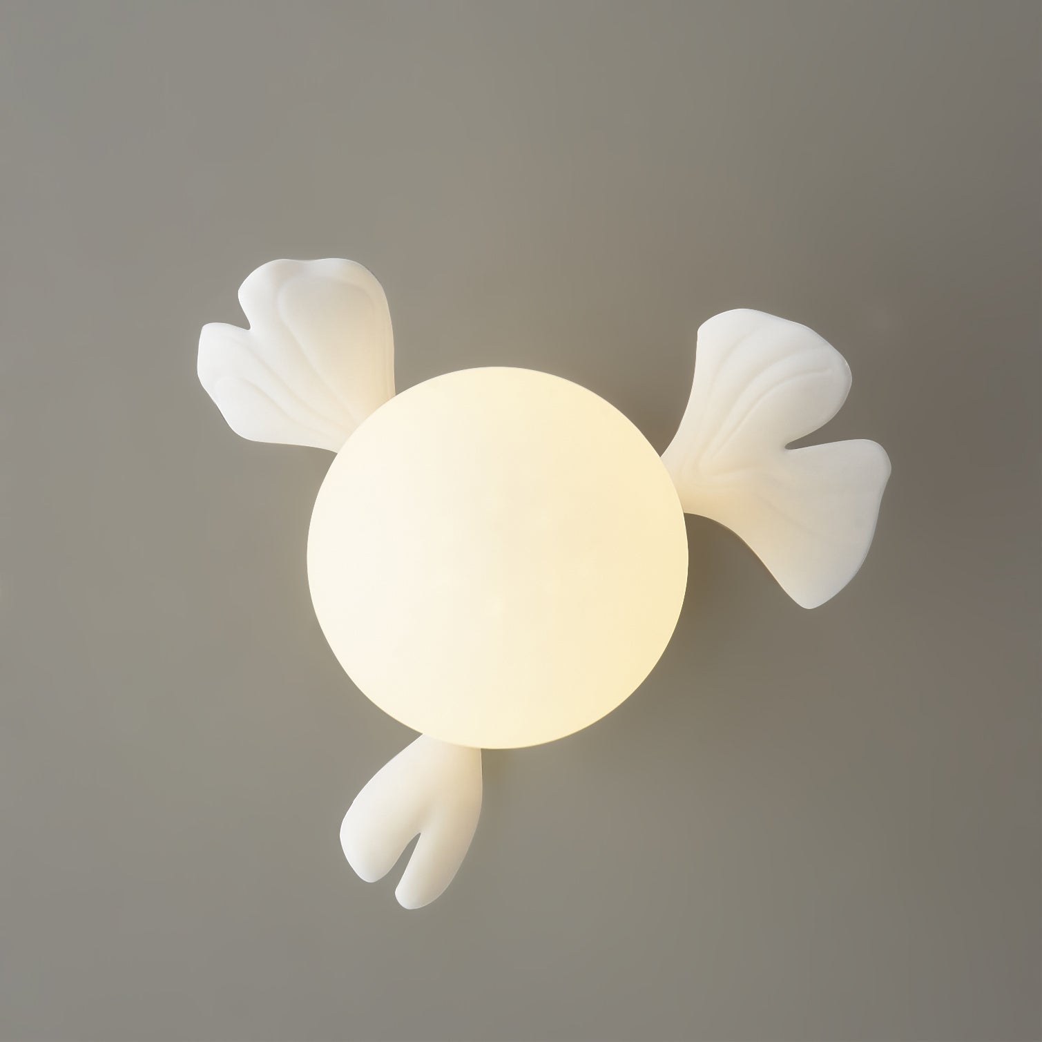 Lumière de Plafond Moderne - Design Élégant Inspiré par la Nature