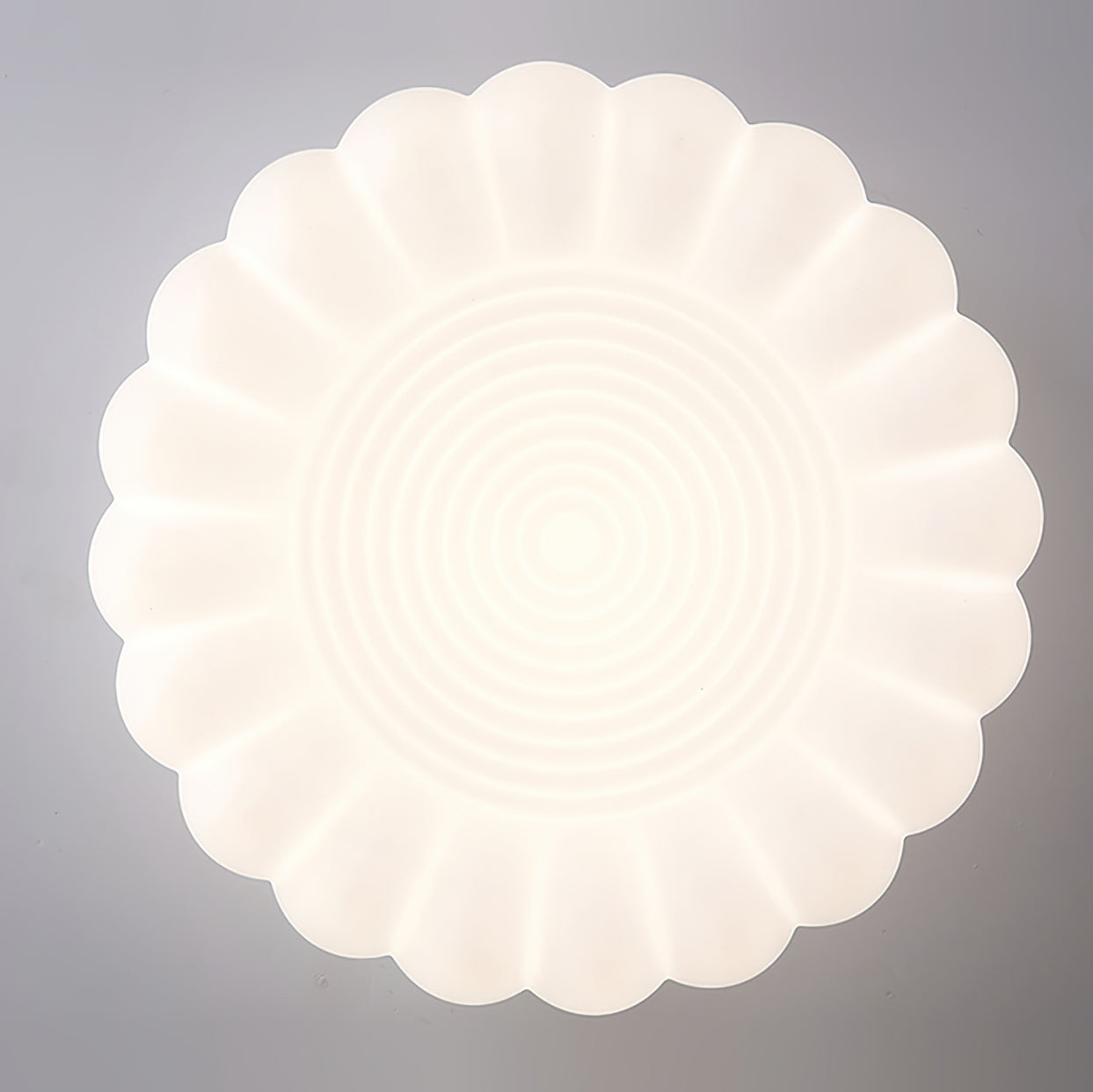Éclairage de Plafond Moderne - Design Élégant et Polyvalent