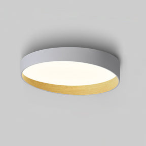 Lampe de Plafond LED Moderne - Design Élégant et Ambiance Chaleureuse