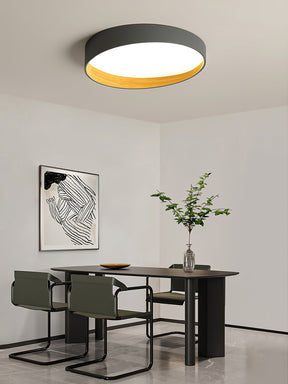 Lampe de Plafond LED Moderne - Design Élégant et Ambiance Chaleureuse