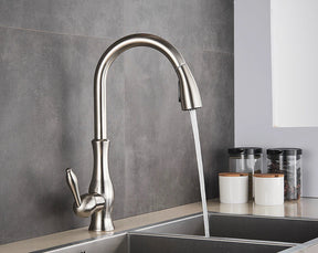 Robinet de Cuisine Rétractable - Élégance et Flexibilité Pratiques