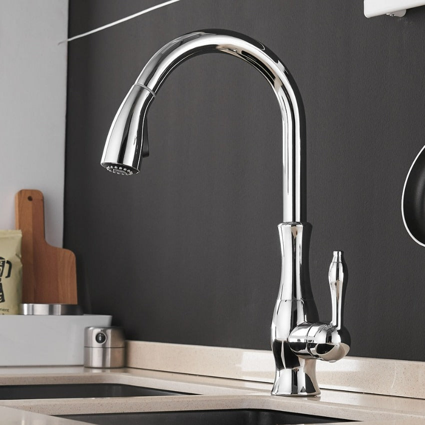 Robinet de Cuisine Rétractable - Élégance et Flexibilité Pratiques