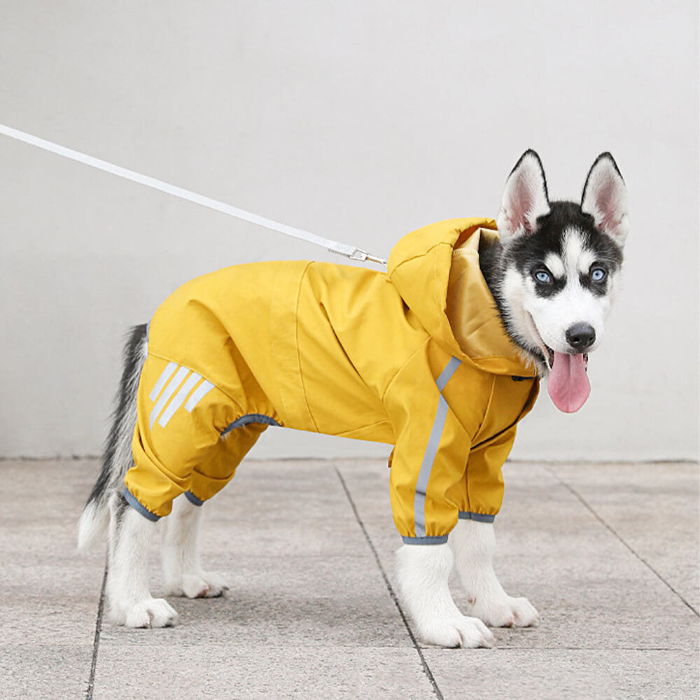 Imperméable pour Chien Réglable - Protection Ultime sous la Pluie