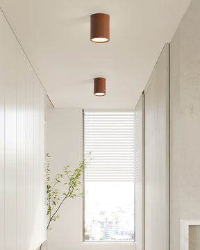 Luminaire de Plafond Élégant - Éclairage Doux et Diffus pour Intérieur