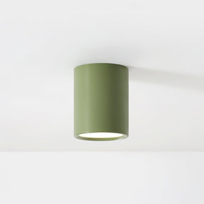 Luminaire de Plafond Élégant - Éclairage Doux et Diffus pour Intérieur