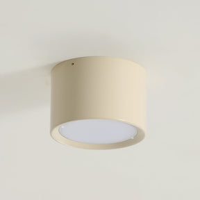 Luminaire de Plafond Élégant - Éclairage Doux et Diffus pour Intérieur
