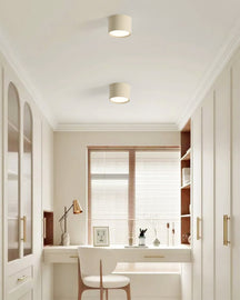 Luminaire de Plafond Élégant - Éclairage Doux et Diffus pour Intérieur