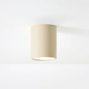 Luminaire de Plafond Élégant - Éclairage Doux et Diffus pour Intérieur