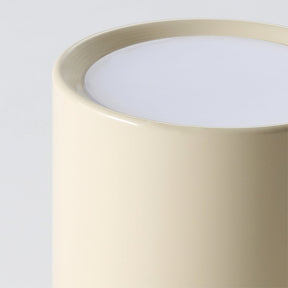 Luminaire de Plafond Élégant - Éclairage Doux et Diffus pour Intérieur
