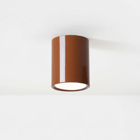 Luminaire de Plafond Élégant - Éclairage Doux et Diffus pour Intérieur